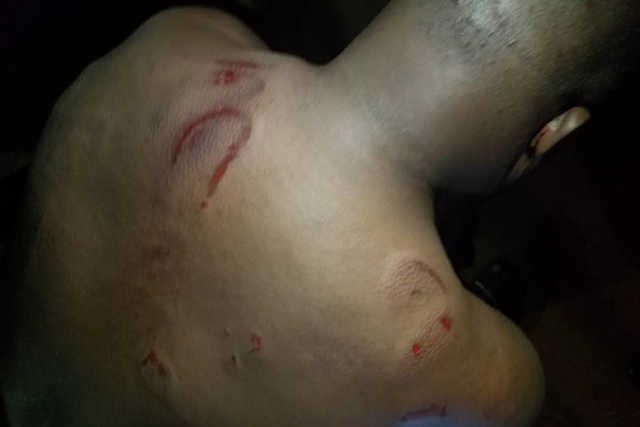 Togo, Violence des militaires sur les forestiers à Davié : Que cache le silence du gouvernement ?