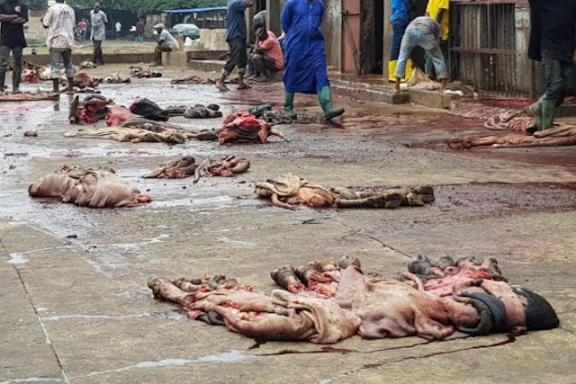 Togo, Hygiène alimentaire : L’insalubrité de l’abattoir de Lomé, une bombe à retardement ?