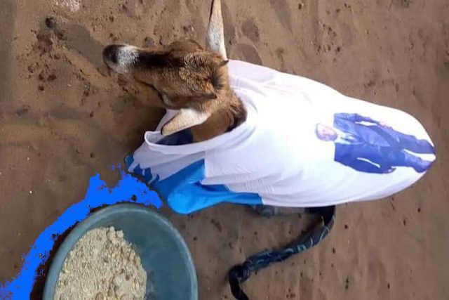 Togo: Démocratie ankylosée, une bombe à retardement