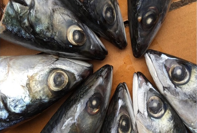 Coronavirus et ses conséquences : Les surgelés de Lomé ne nous vendaient que du chinois ?