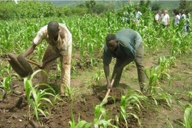 Promouvoir davantage le secteur agricole !