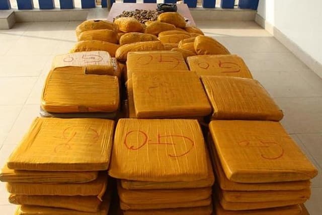 Togo : Un homme arrêté avec une importante quantité de cannabis à Gbadago