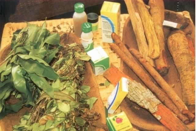 Togo/Medias : la diffusion des pubs de tradithérapeutes et des produits de la médecine traditionnelle interdite