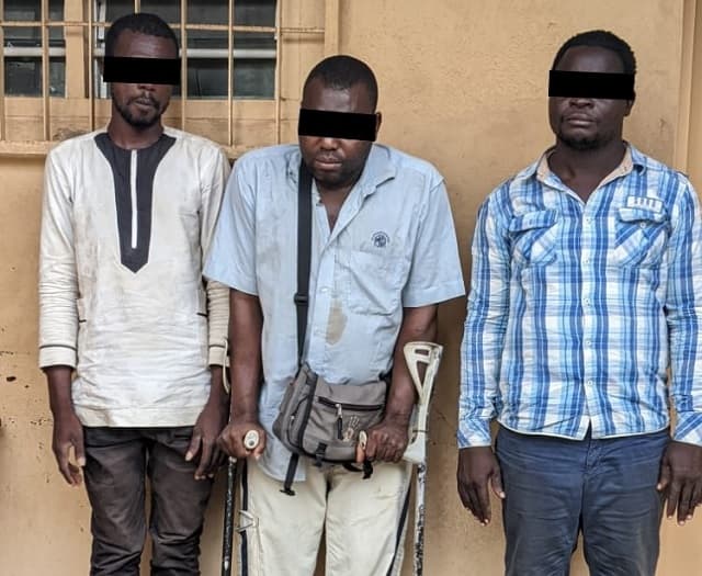 Togo : Trois trafiquants d’ivoire arrêtés à Lomé