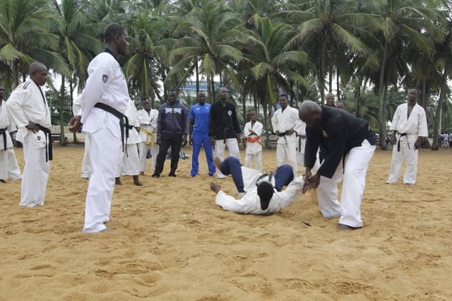 Arts martiaux : Le Togo accueille un Stage International de NIHON TAÏ JITSU en Février