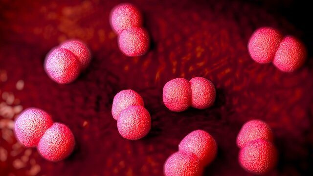 Togo: la méningite tue 10 personnes dans le nord