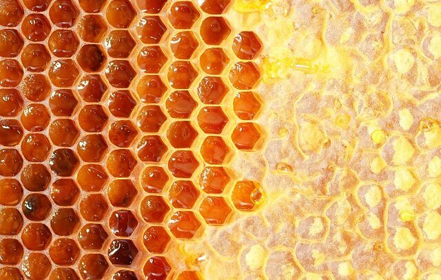 Le miel togolais est-il compétitif?