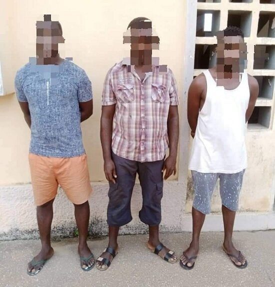 Togo : des escrocs aux faux contrats de fourniture d&rsquo;épices et de miel interpellés par la police