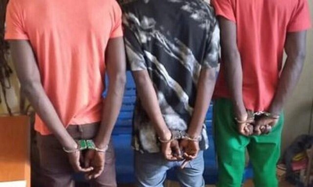 Togo : 4 voleurs de câbles de connexion de Togocom interpellés par la police