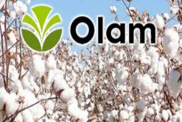 Togo/Tension entre OLAM et les Cotonculteurs : un accord pour sauver et relancer la Filière Cotonnière
