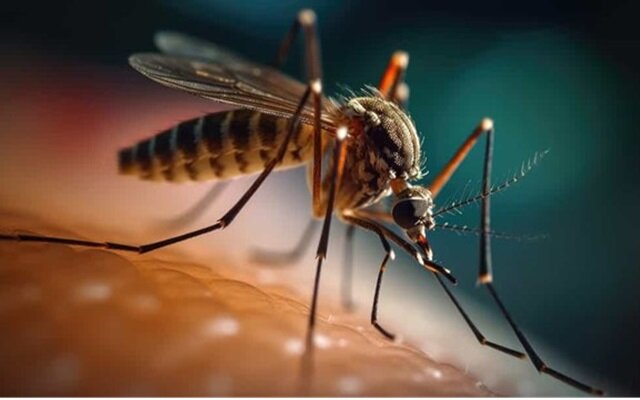 Togo/Épidémie de Dengue : les consignes du Ministère de la Santé