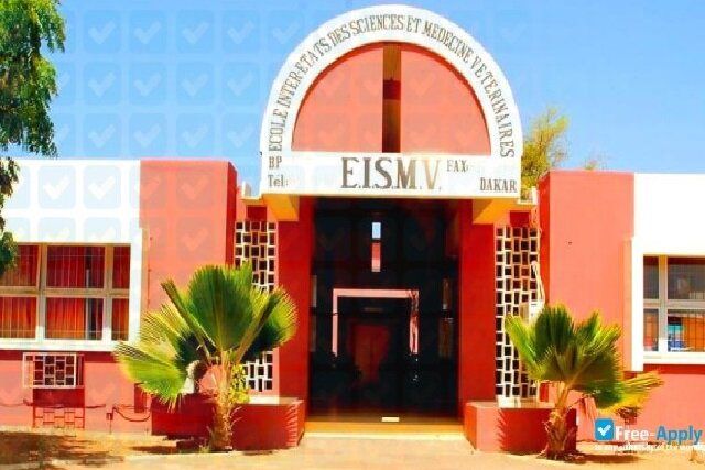 Le Togo lance un appel à candidatures pour des bourses d’études à l&rsquo;EISMV de Dakar