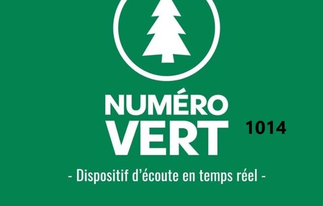 Togo/Violences sexuelles : Le Togo lance un numéro vert pour briser le silence