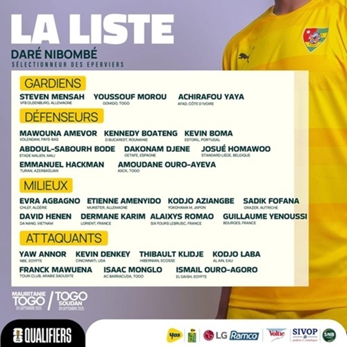 Togo/Éperviers : Nibombé Daré et son staff virés 